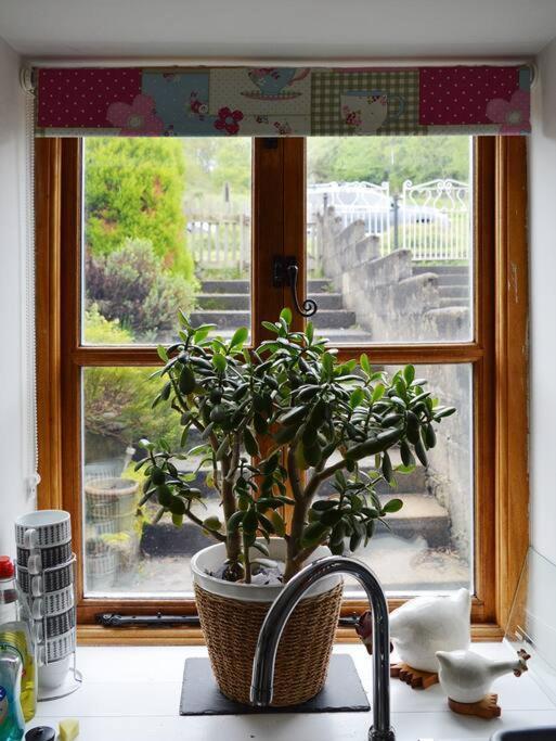 Foresters Inn Cottage Parkend Dış mekan fotoğraf