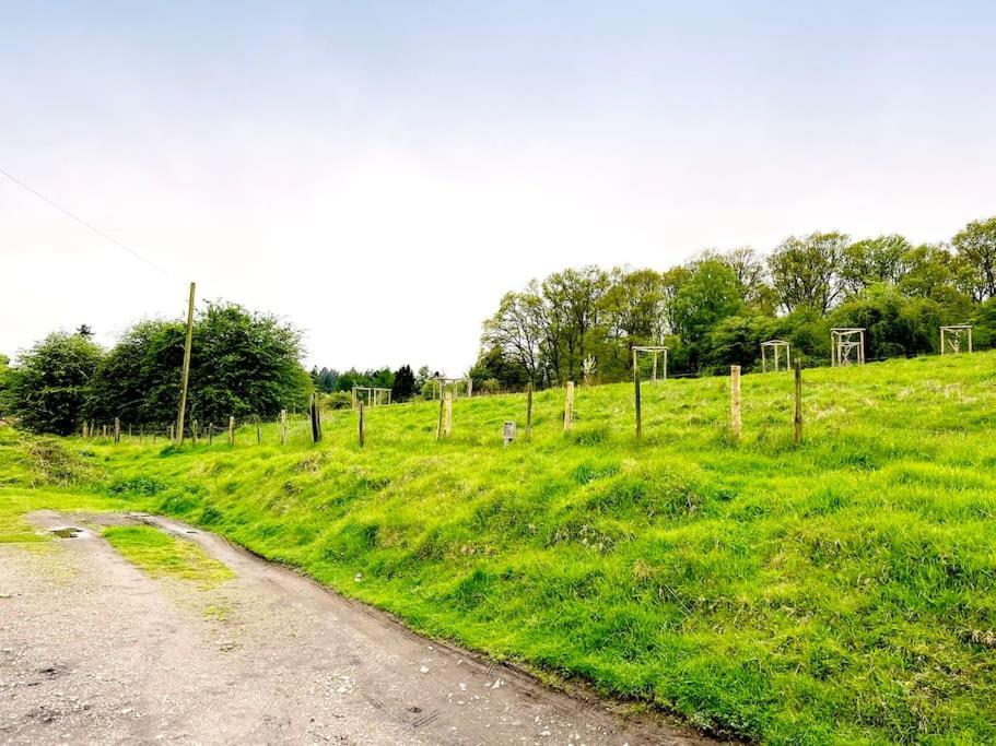 Foresters Inn Cottage Parkend Dış mekan fotoğraf